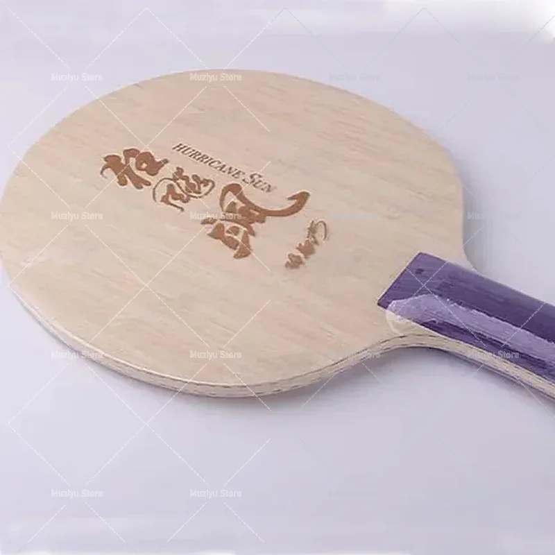 Original DHS Hurricane Sa Tabl - огляд і ціна Table Tennis Champion