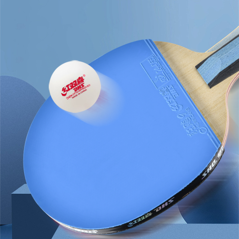 DHS 6 Star H6008 Table Tennis  - огляд і ціна Table Tennis Champion