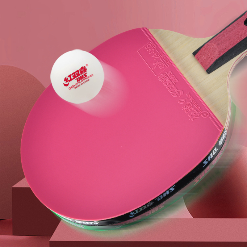 DHS 6 Star Table Tennis Racket - огляд і ціна Table Tennis Champion