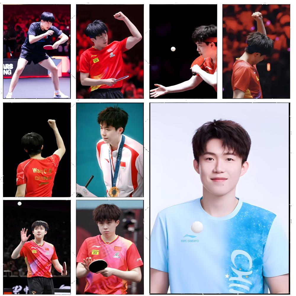 Table Tennis Champion Wang Chu - огляд і ціна Table Tennis Champion